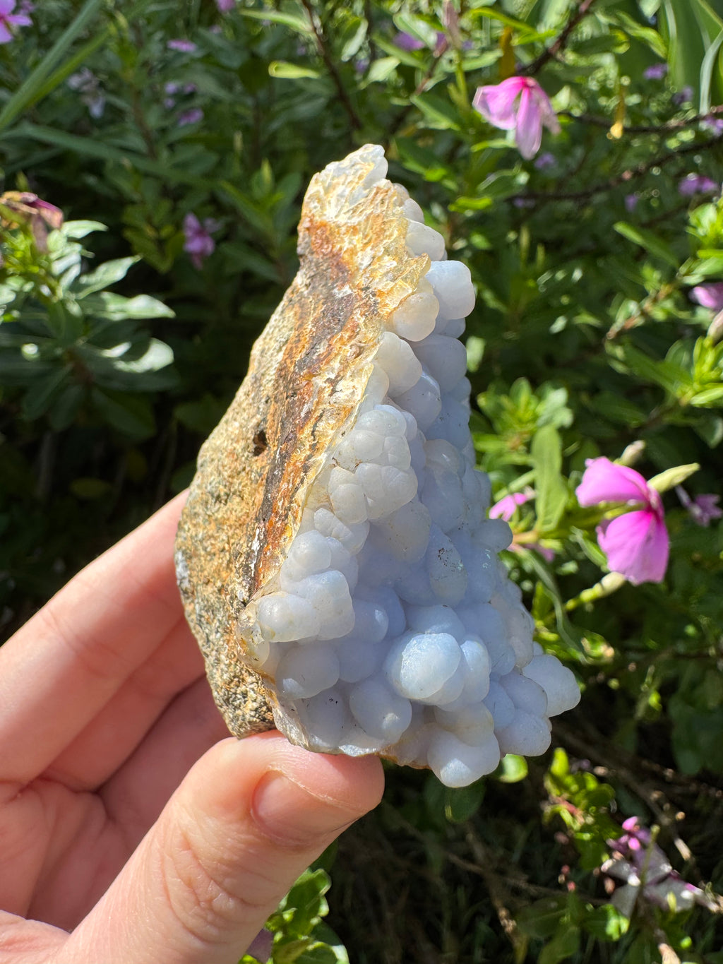 Angelite ‘Botryoidal’ Cluster Specimen