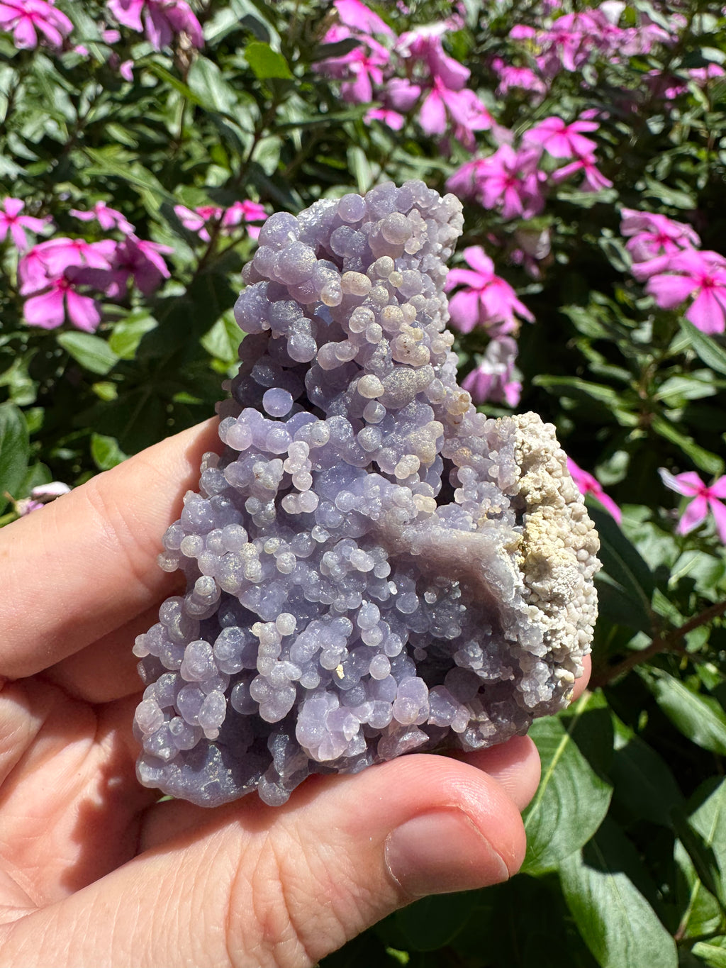 Natural Grape Agate Cluster