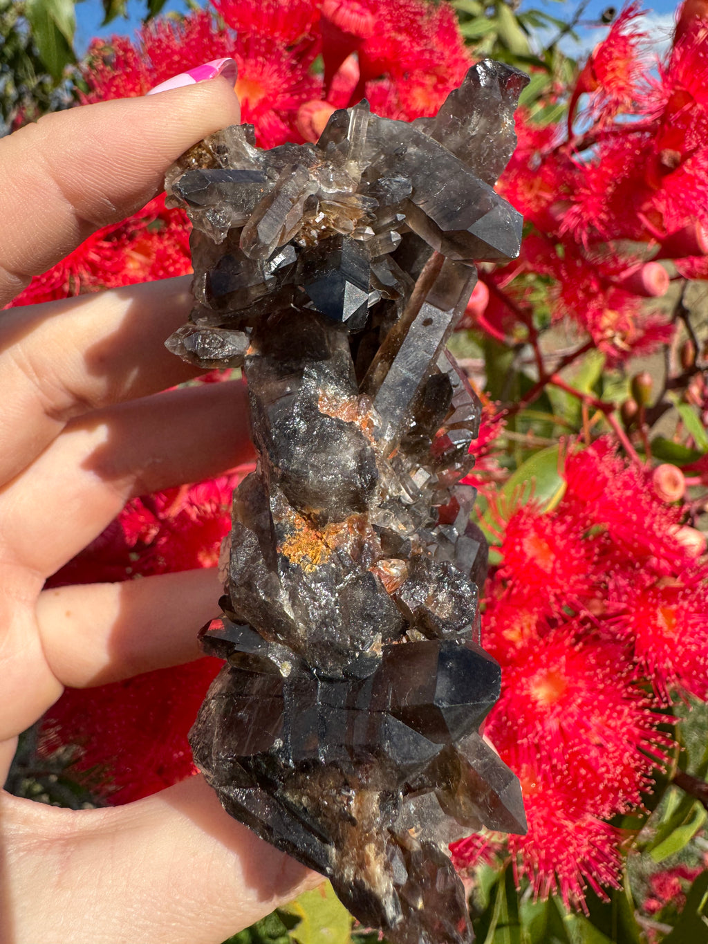Deep Black Smoky Quartz with Hematite Cluster