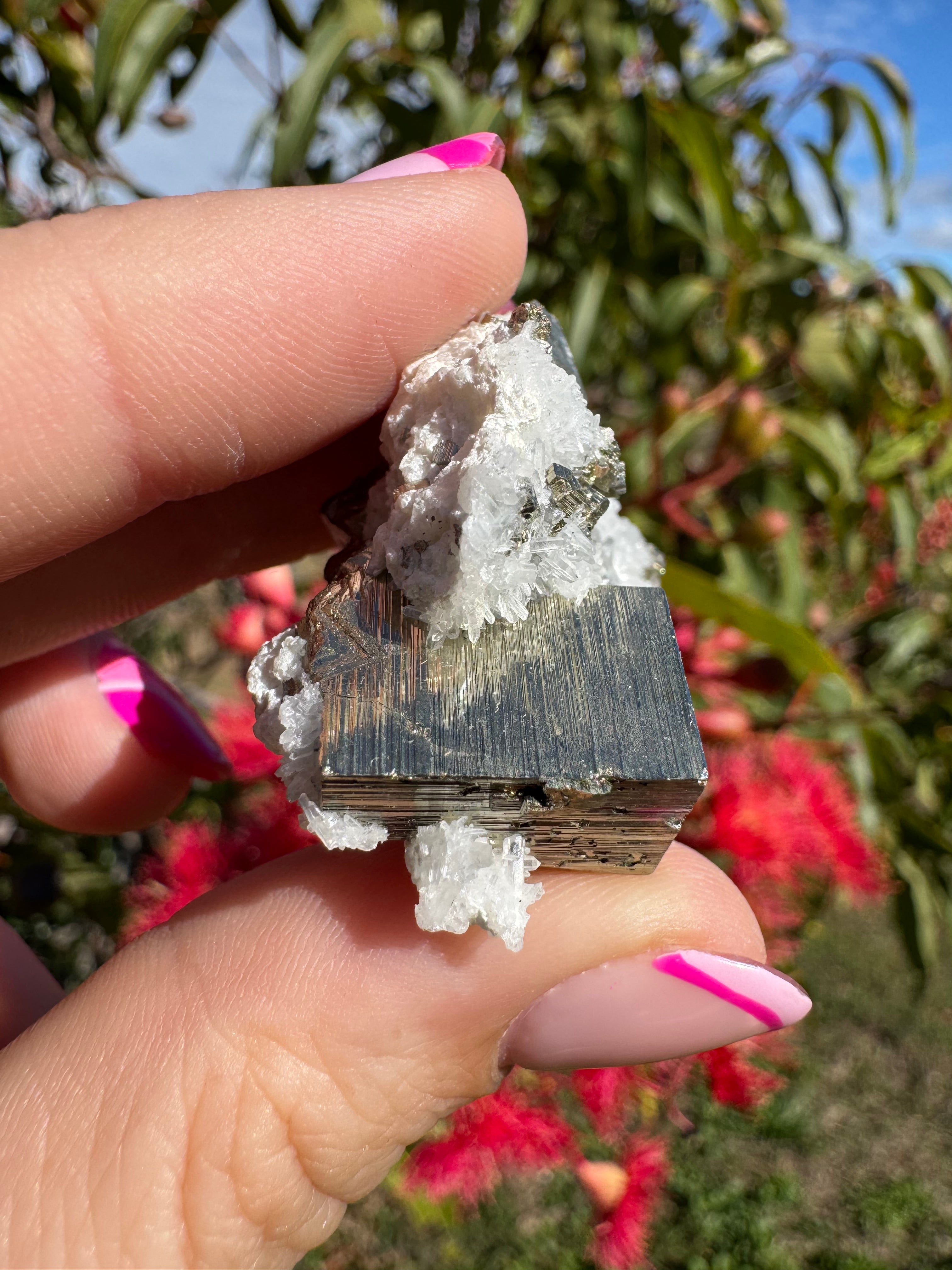 Pyrite Cubes on Quartz Specimen