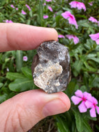 Mooralla Smoky Quartz Cluster