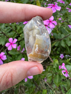 Spiralite ‘Gastropod’ Fossil