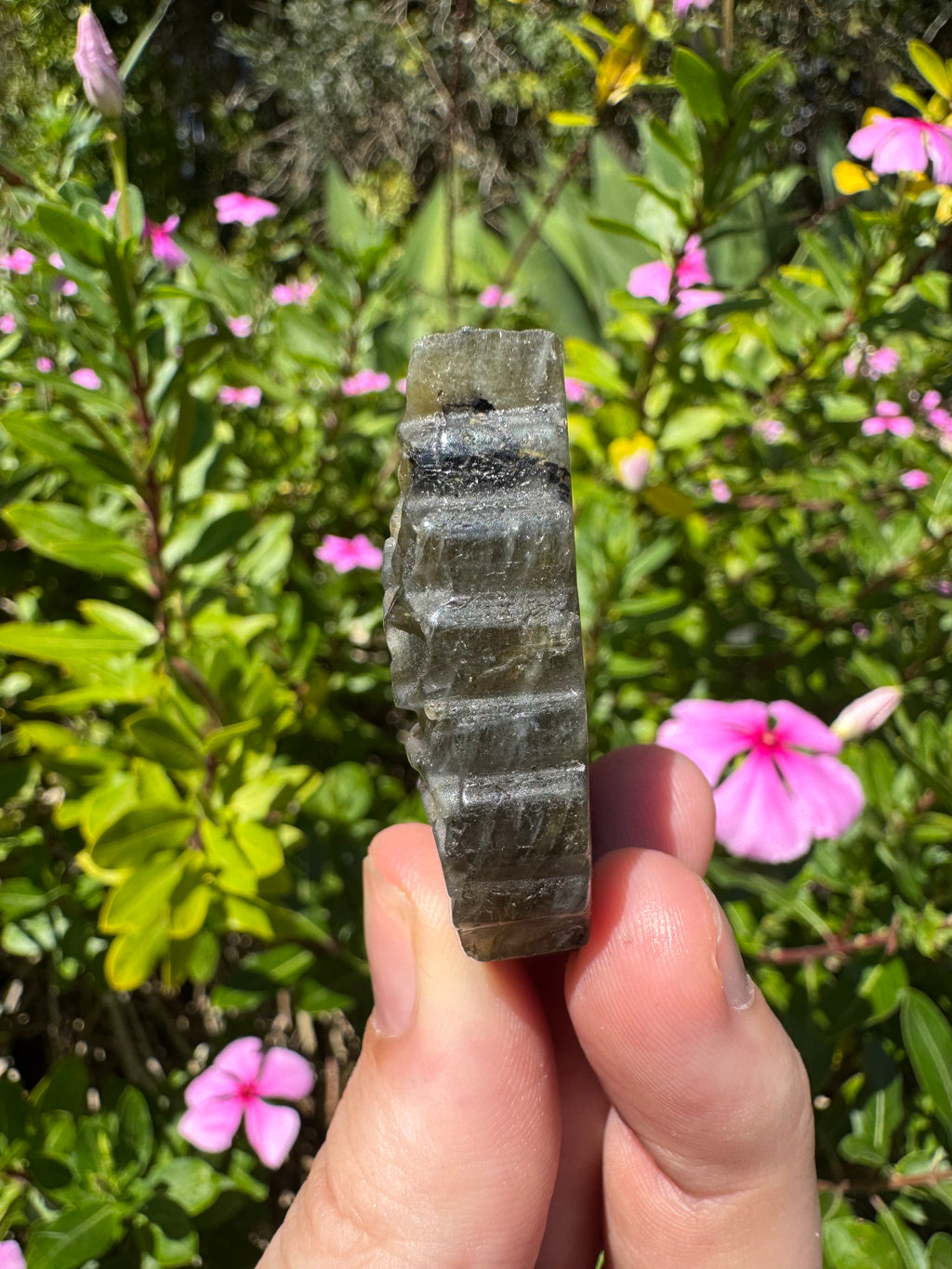 Labradorite Butterfly Carving