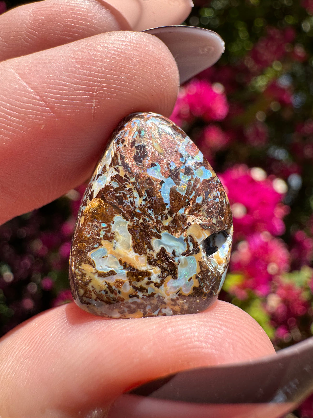 Polished Boulder Opal | Karoit