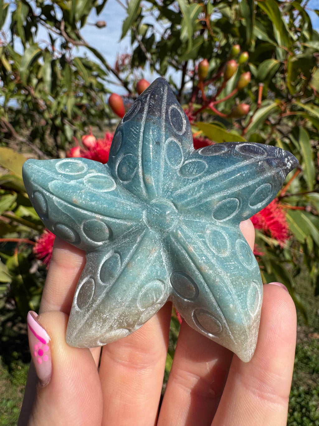 Trollite Starfish Carving
