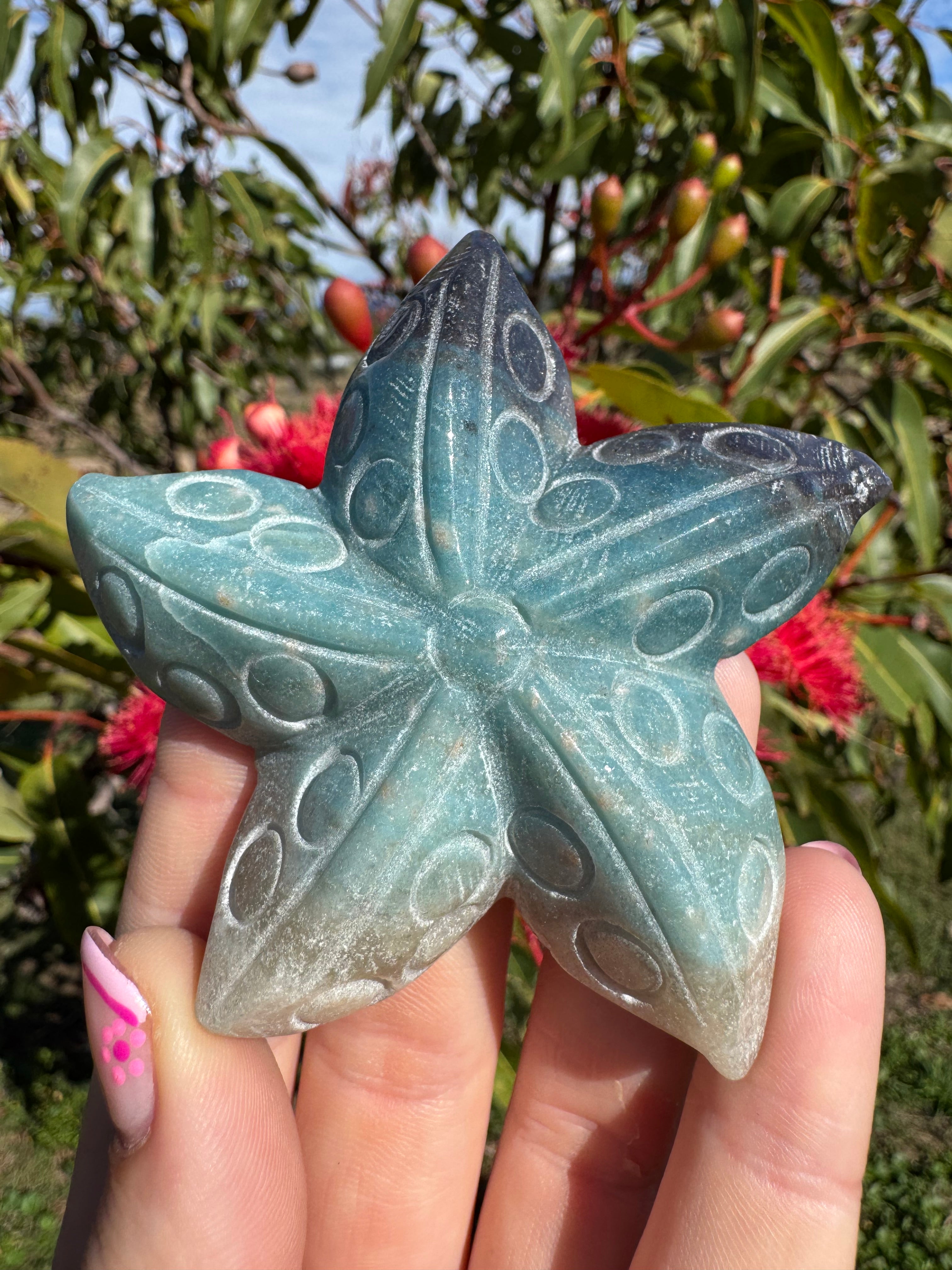 Trollite Starfish Carving
