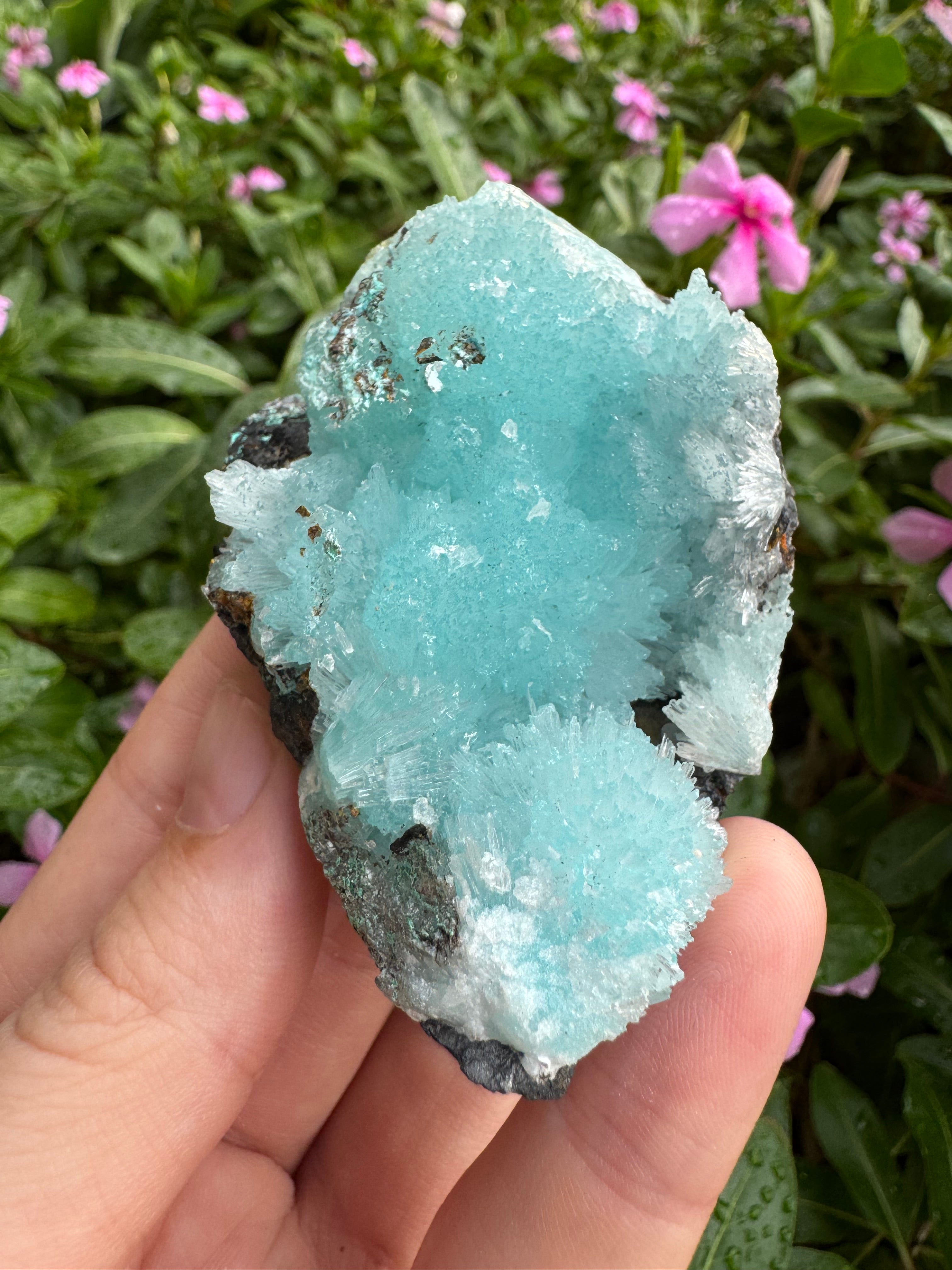 Hemimorphite Needle Formation On Matrix Specimen