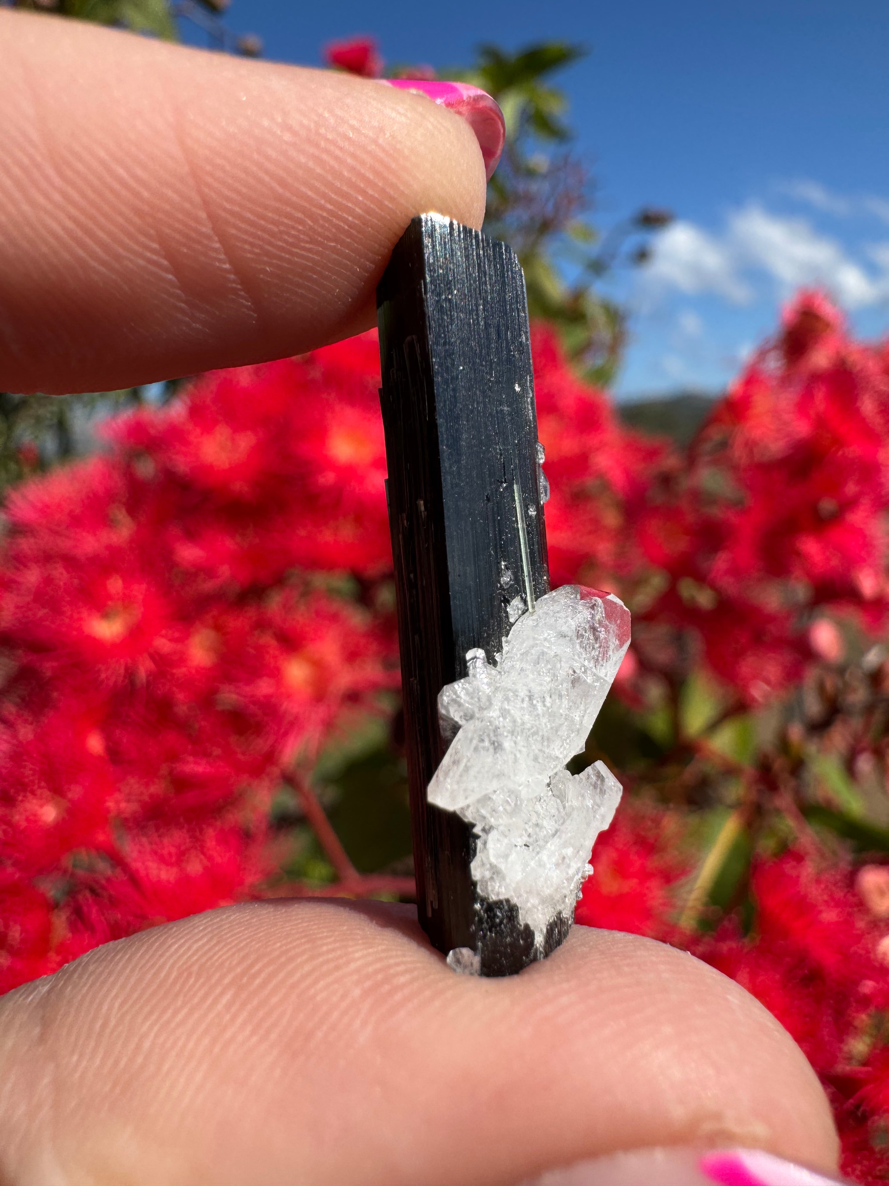 Green Tourmaline and Quartz Specimen - Stak Nala