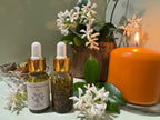 Money and Abundance Spell Oil - 15ml