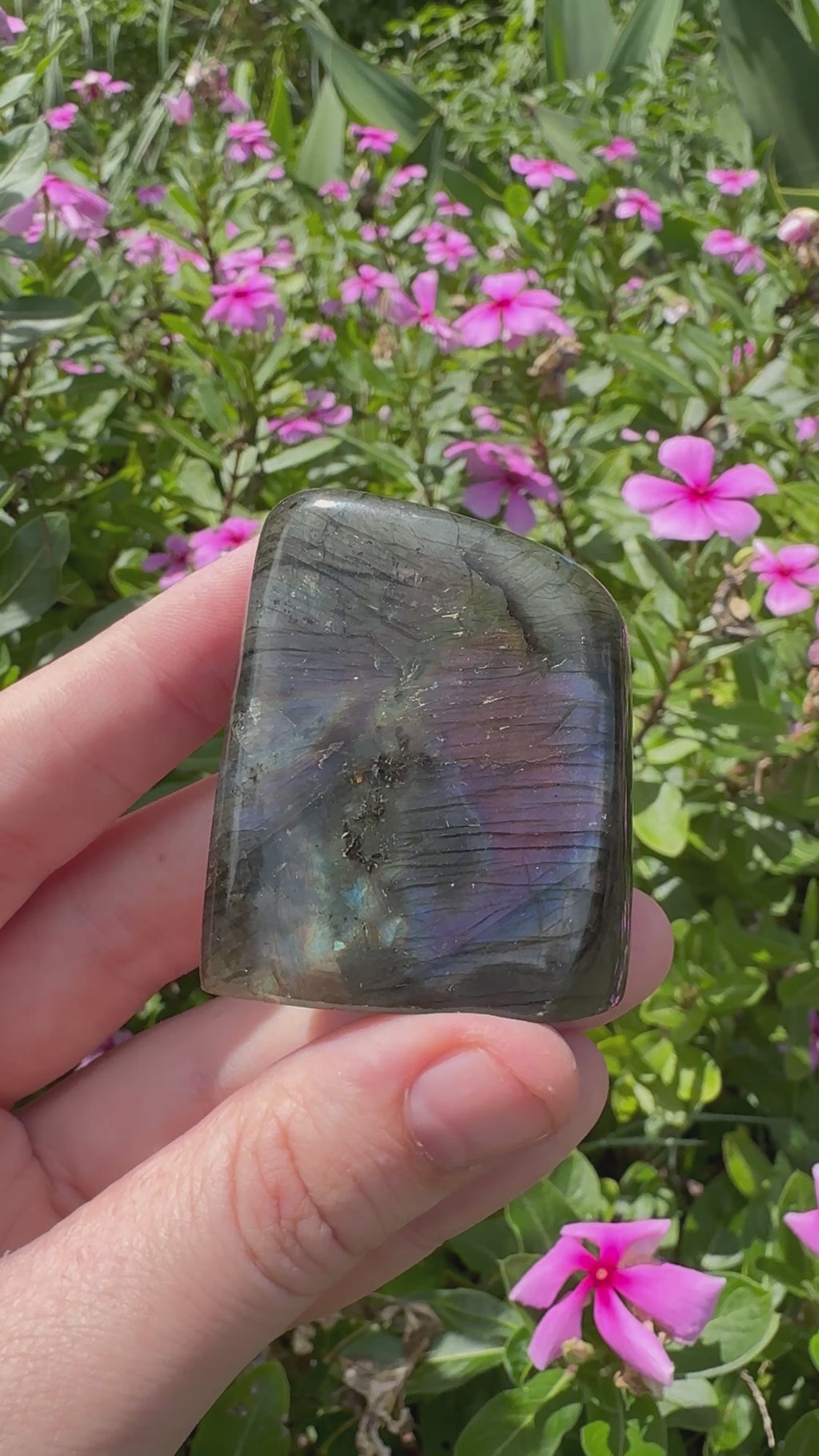 Spectrolite Labradorite Freeform