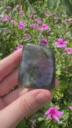 Spectrolite Labradorite Freeform