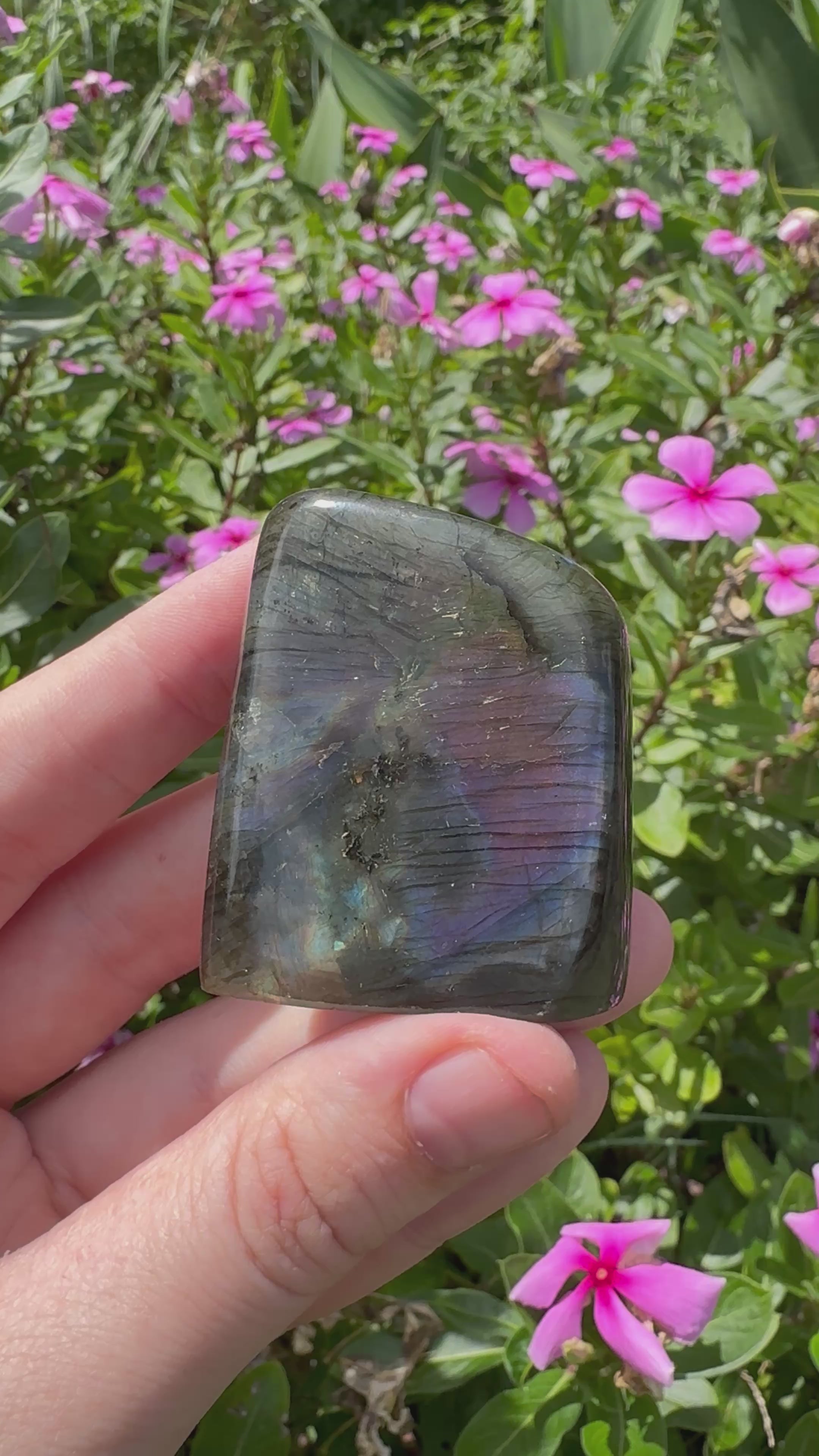 Spectrolite Labradorite Freeform