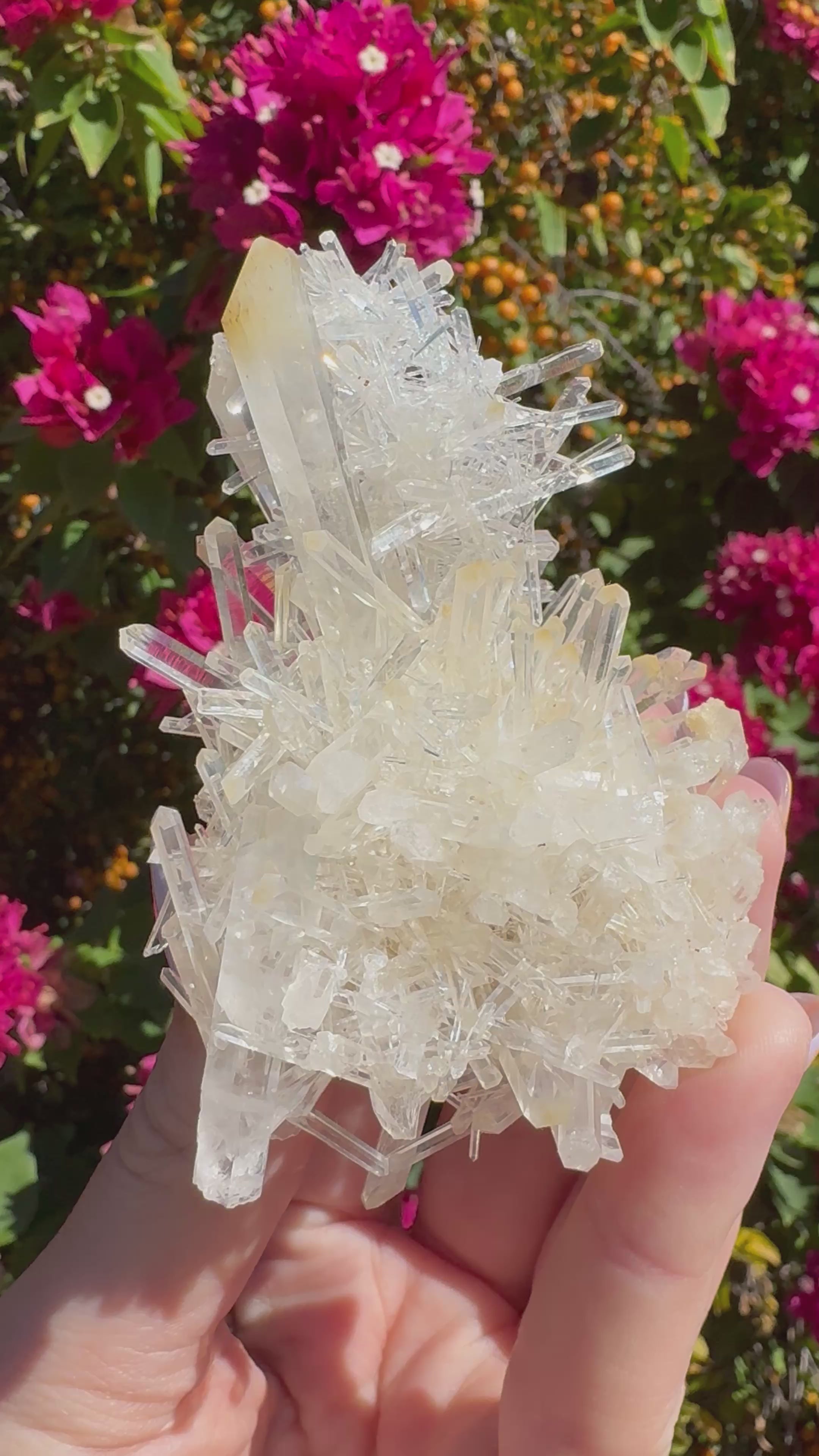 Lemurian ‘Mango’ Quartz Cluster