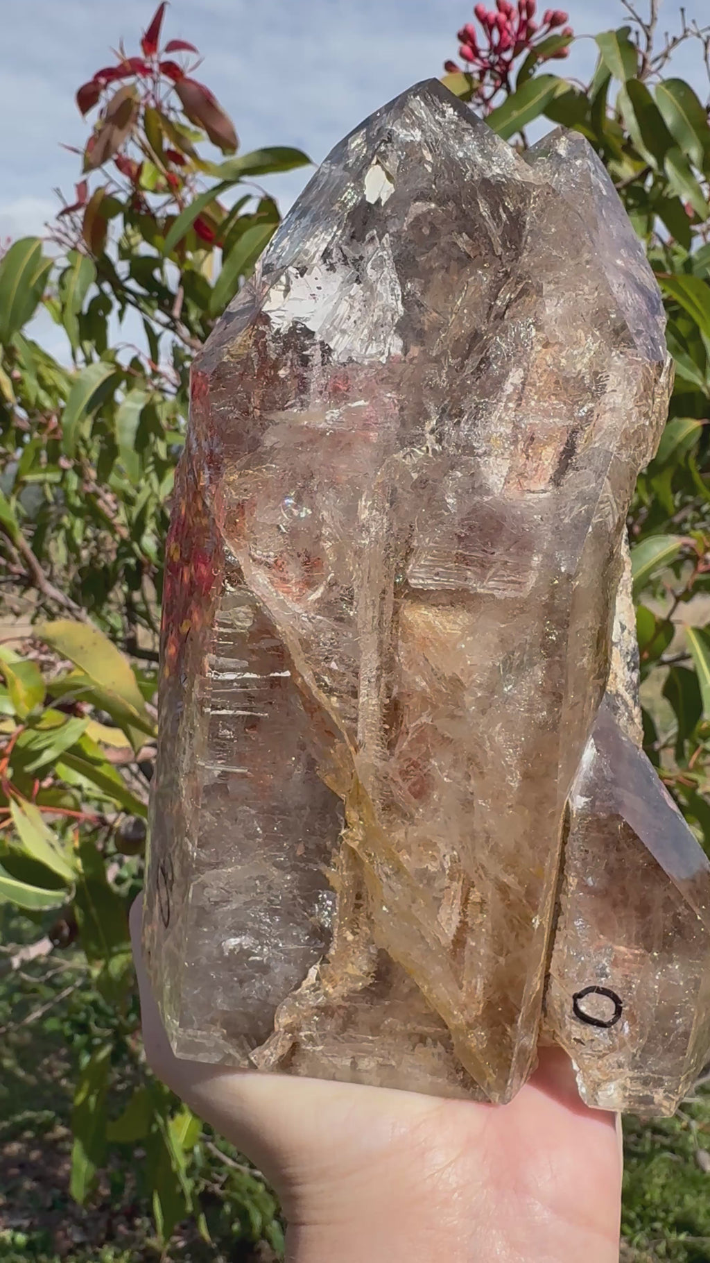 Rare Windowed Included Smoky Quartz Freeform - Triple Enhydro