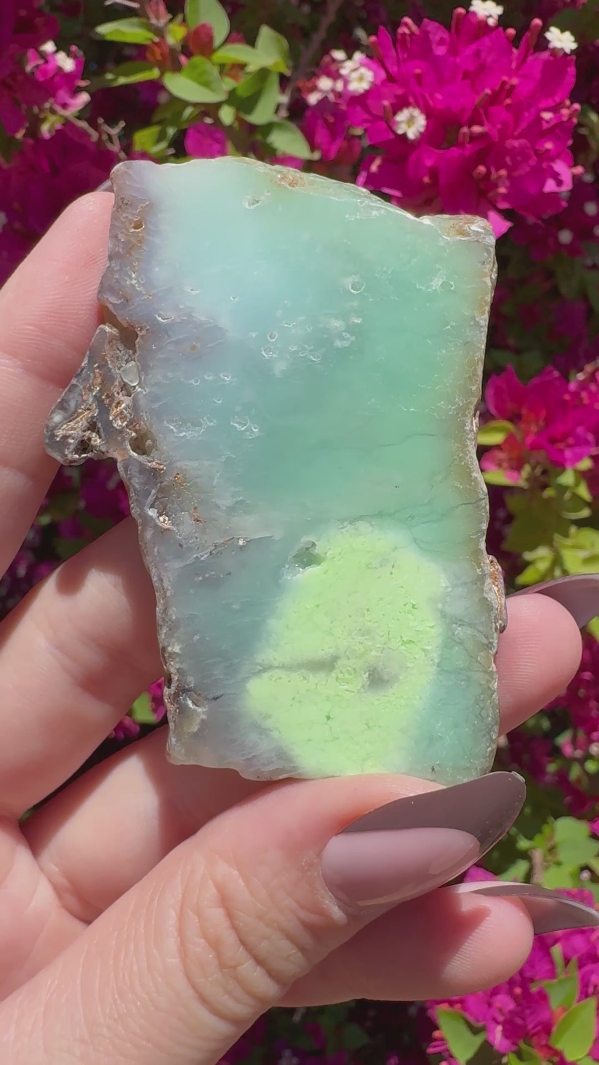 Green Chrysoprase Slice | Yerilla