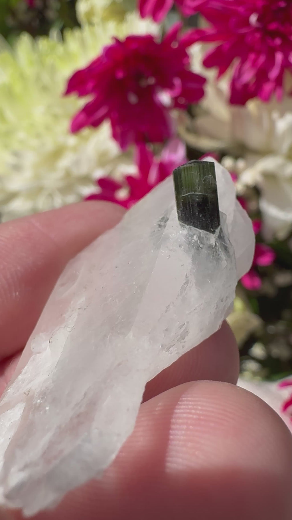 Green Capped Tourmaline in Quartz Specimen