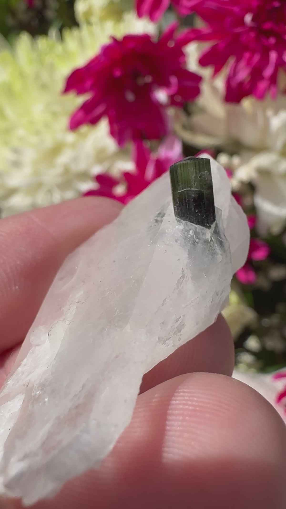 Green Capped Tourmaline in Quartz Specimen