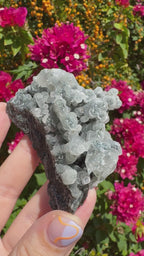 Black Chalcedony Stalactites with Apophyllite Specimen