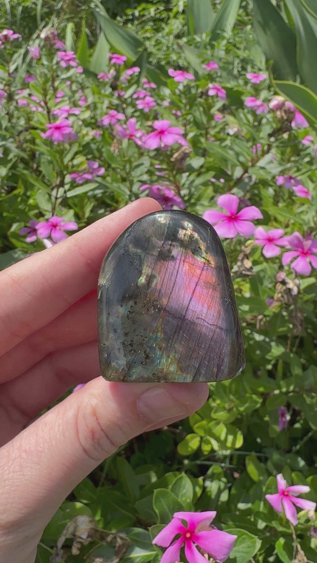 Spectrolite Labradorite Freeform