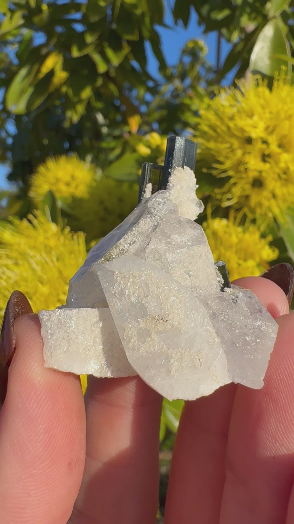 Green Tourmaline Twins In Quartz Specimen | Stak Nala