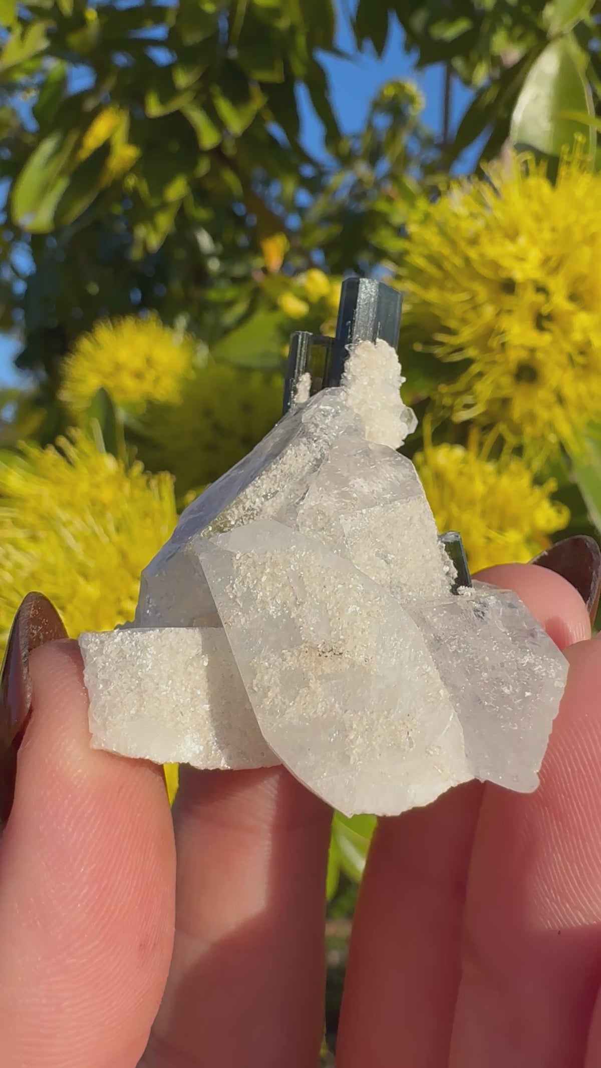 Green Tourmaline Twins In Quartz Specimen | Stak Nala
