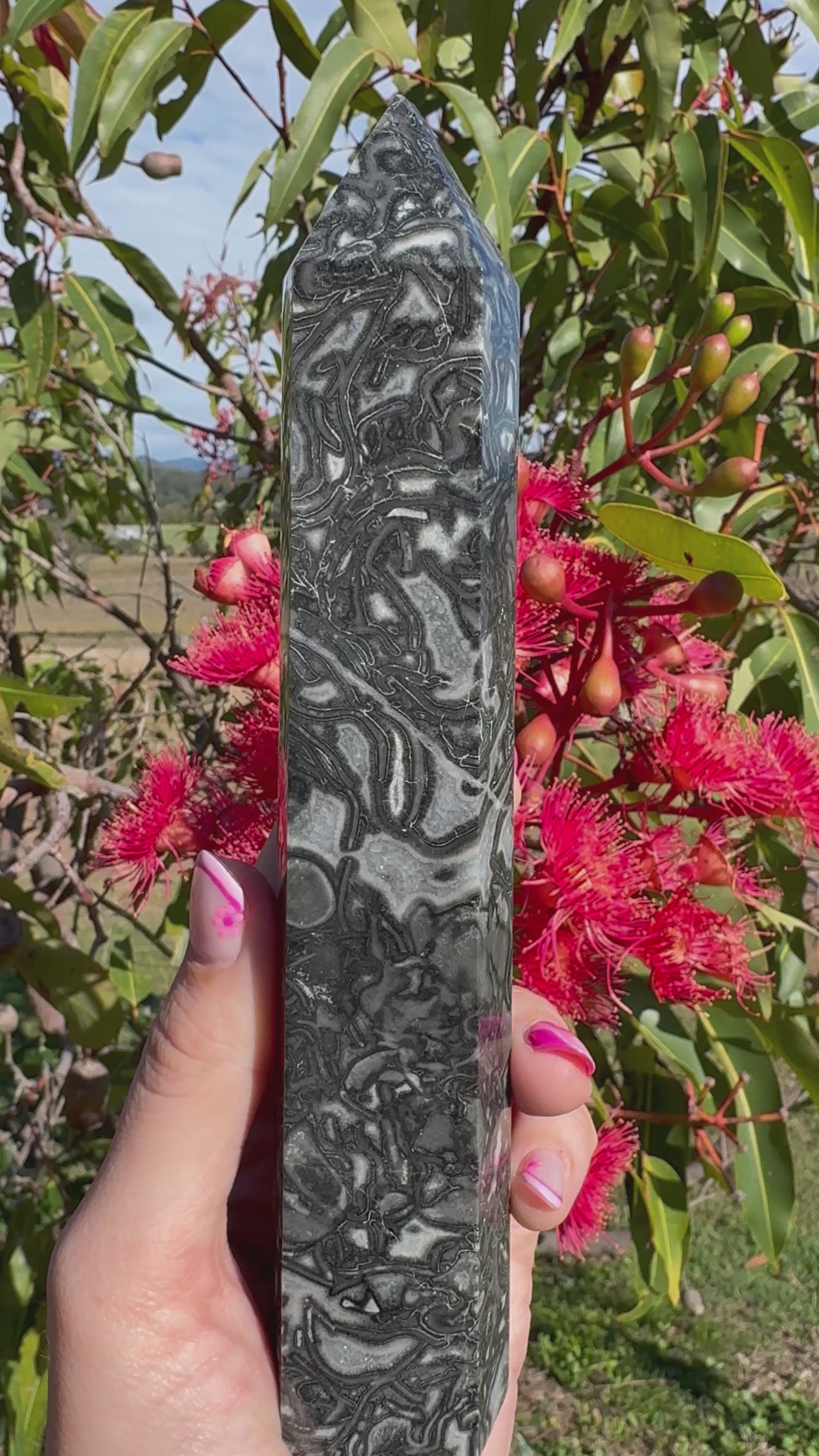Black Crazy Lace Agate Generator