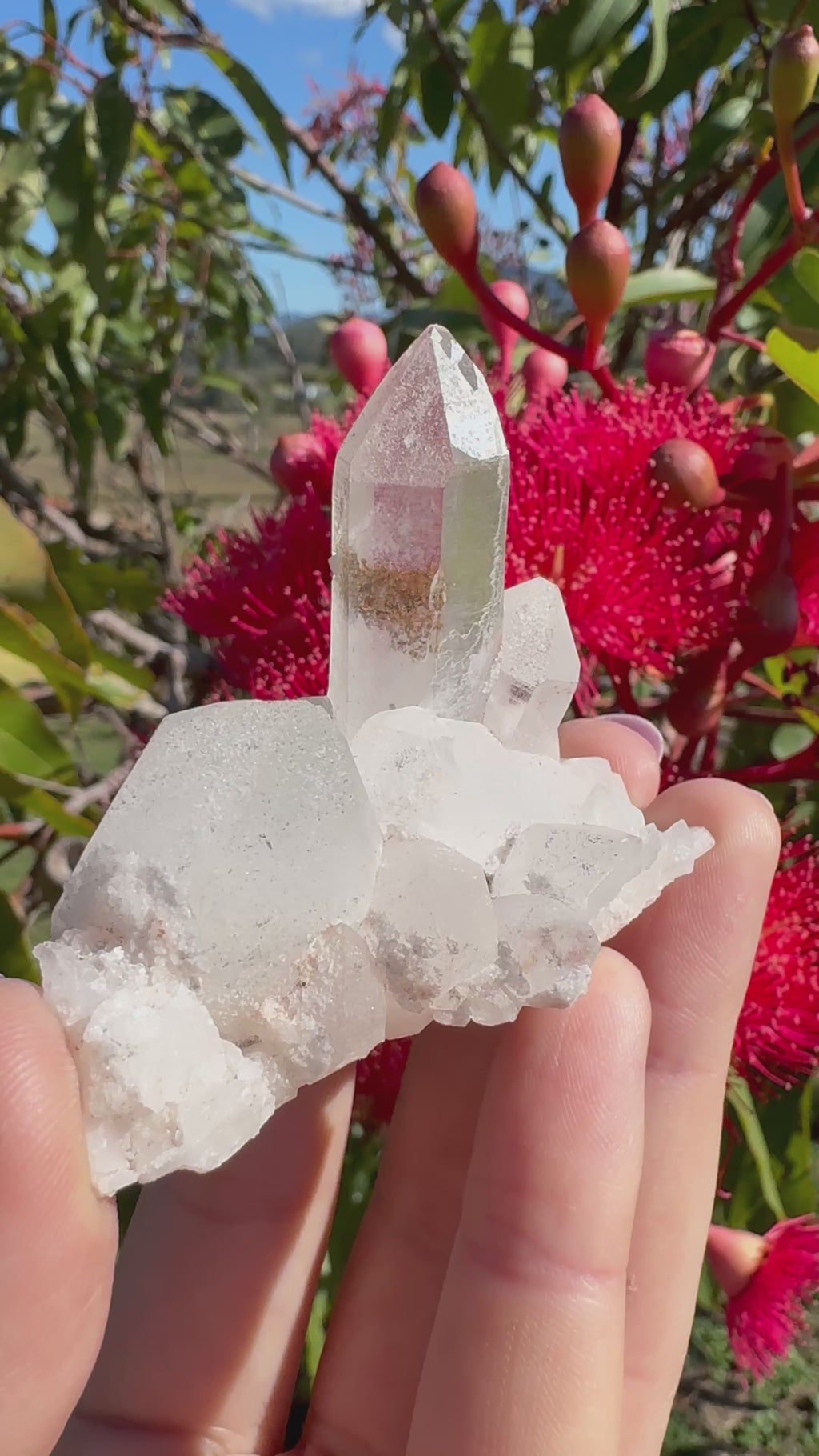 Himalayan Quartz Cluster