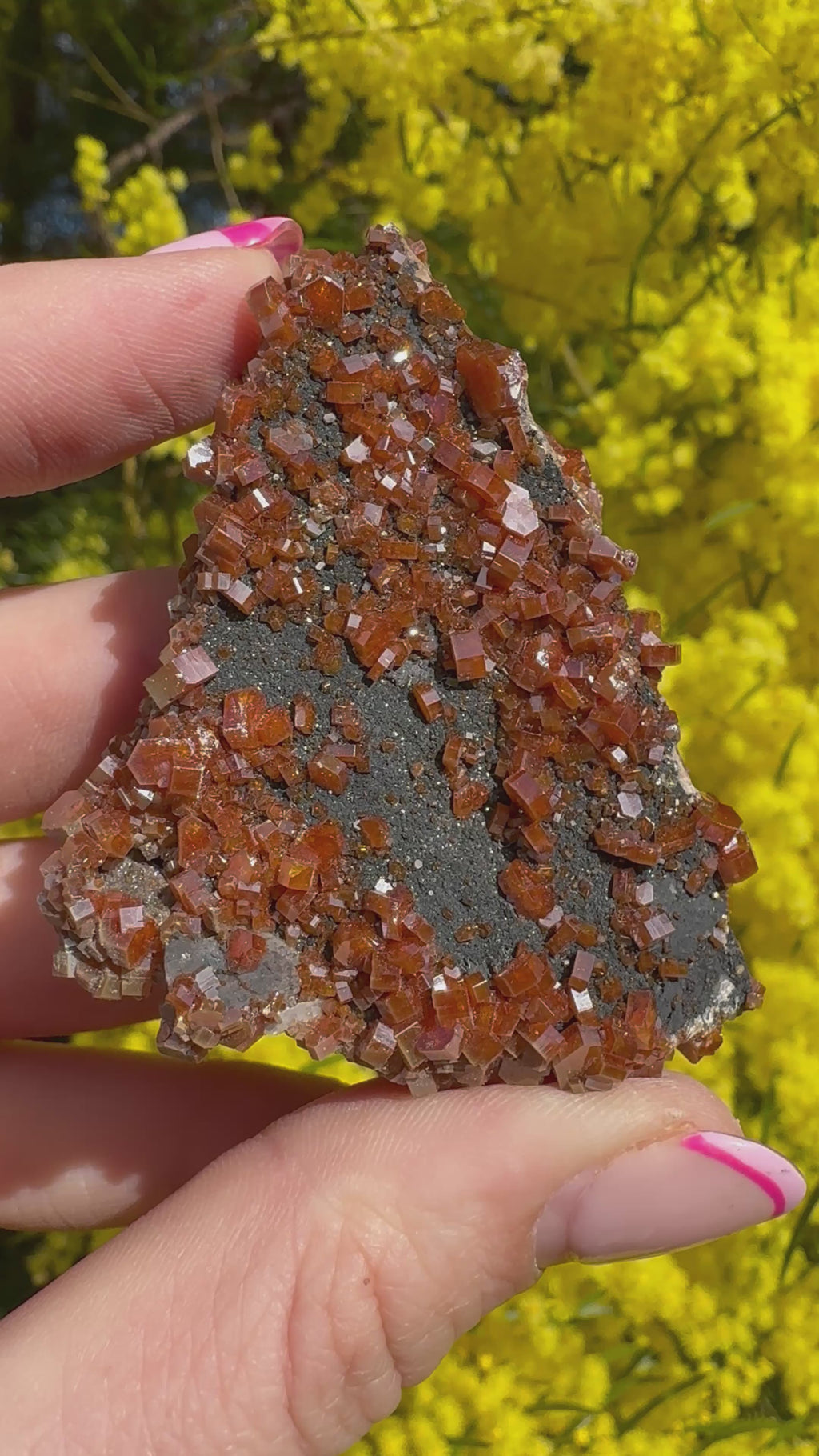 Vanadinite and Black Barite Specimen
