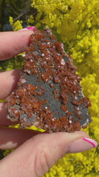 Vanadinite and Black Barite Specimen