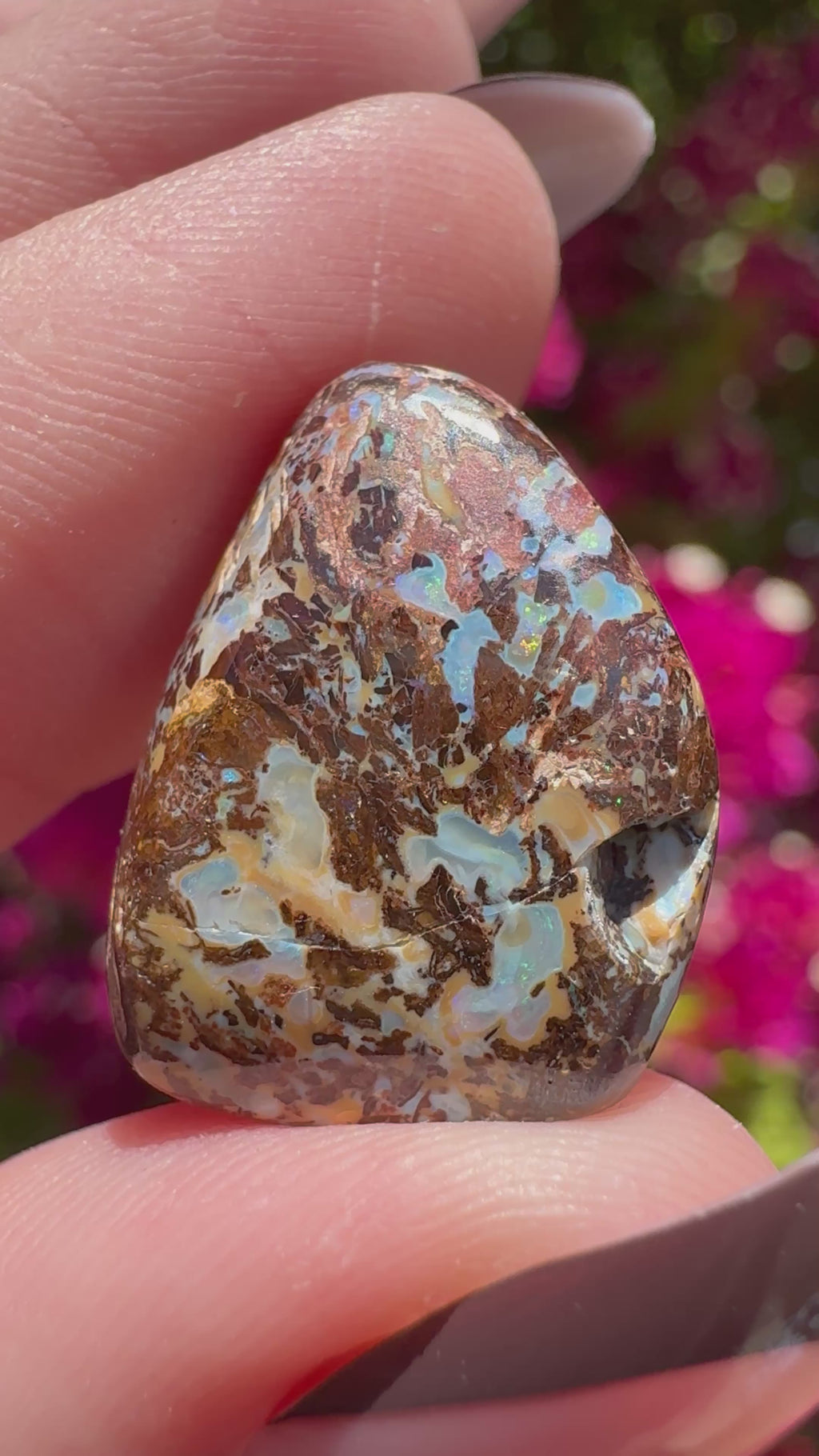 Opale boulder polie | Karoit