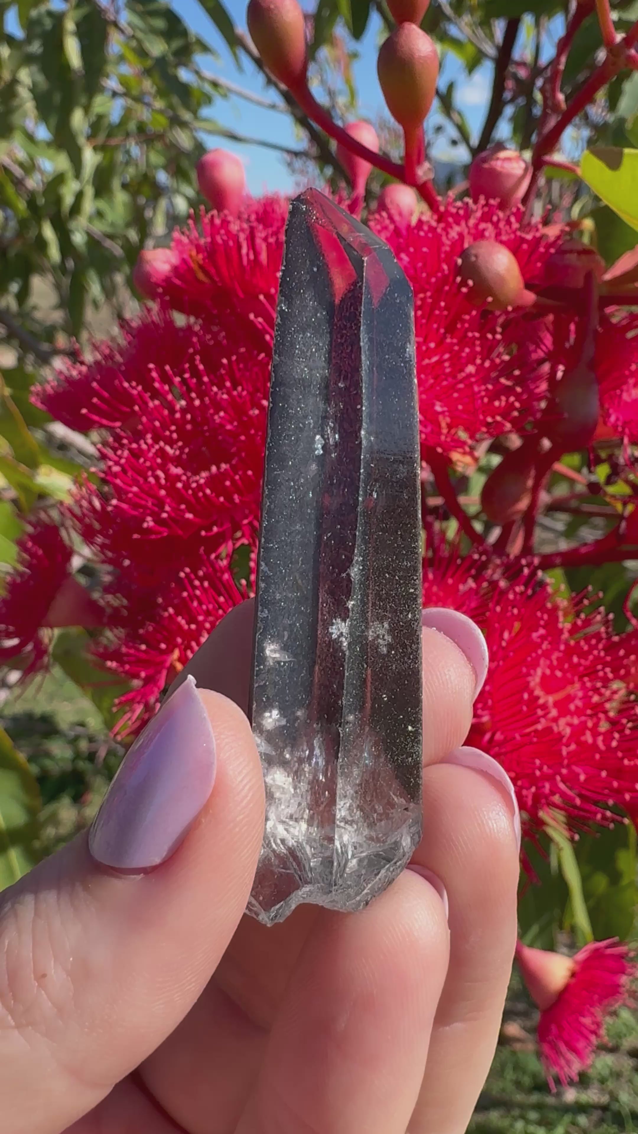 Hematite Coated Quartz Point
