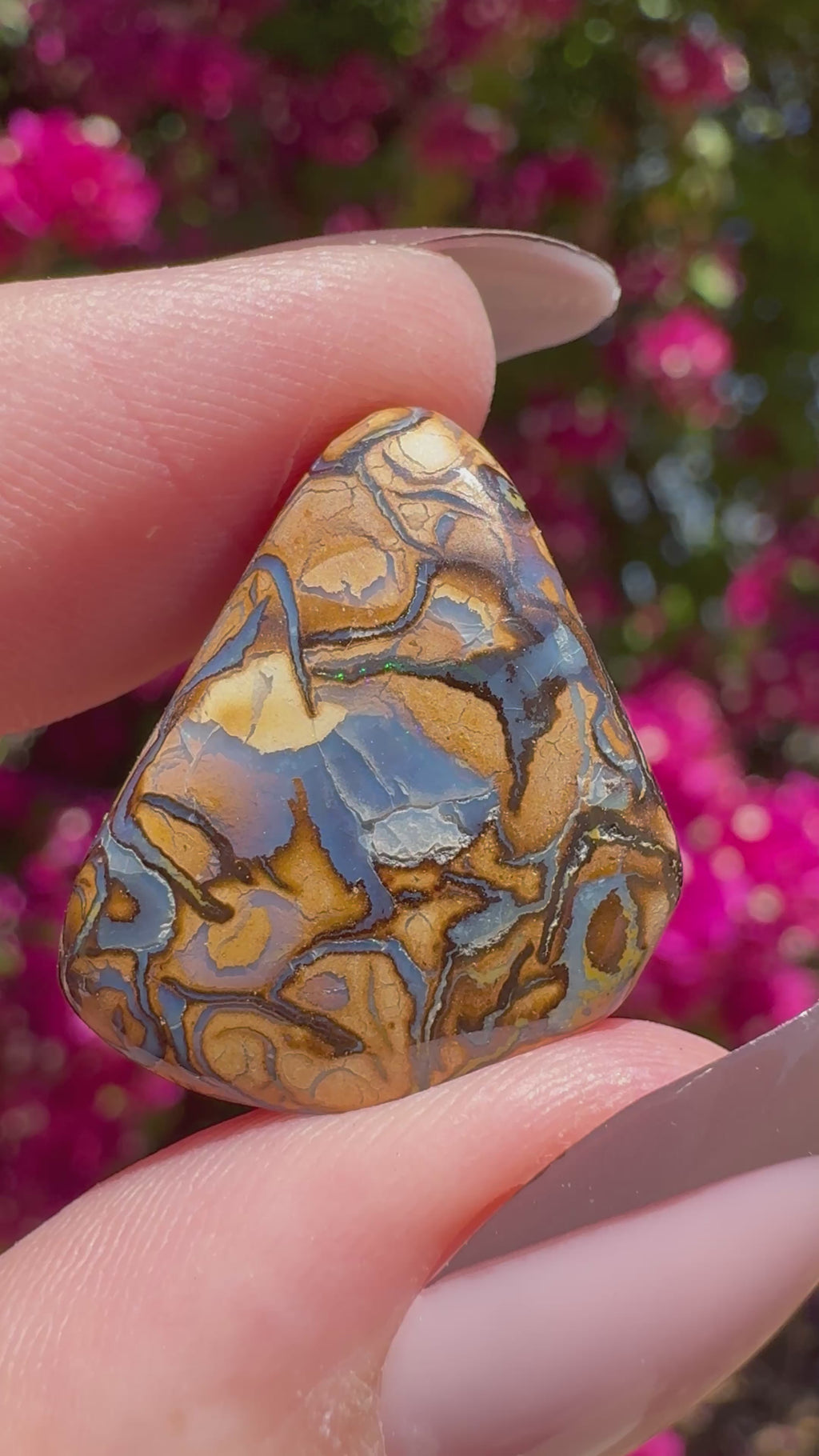 Ópalo boulder pulido | Karoit