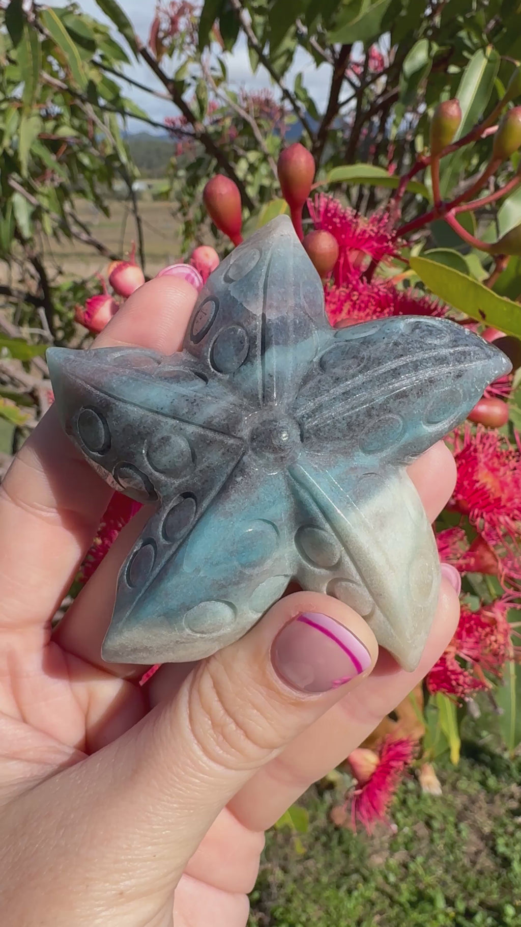 Trollite Starfish Carving