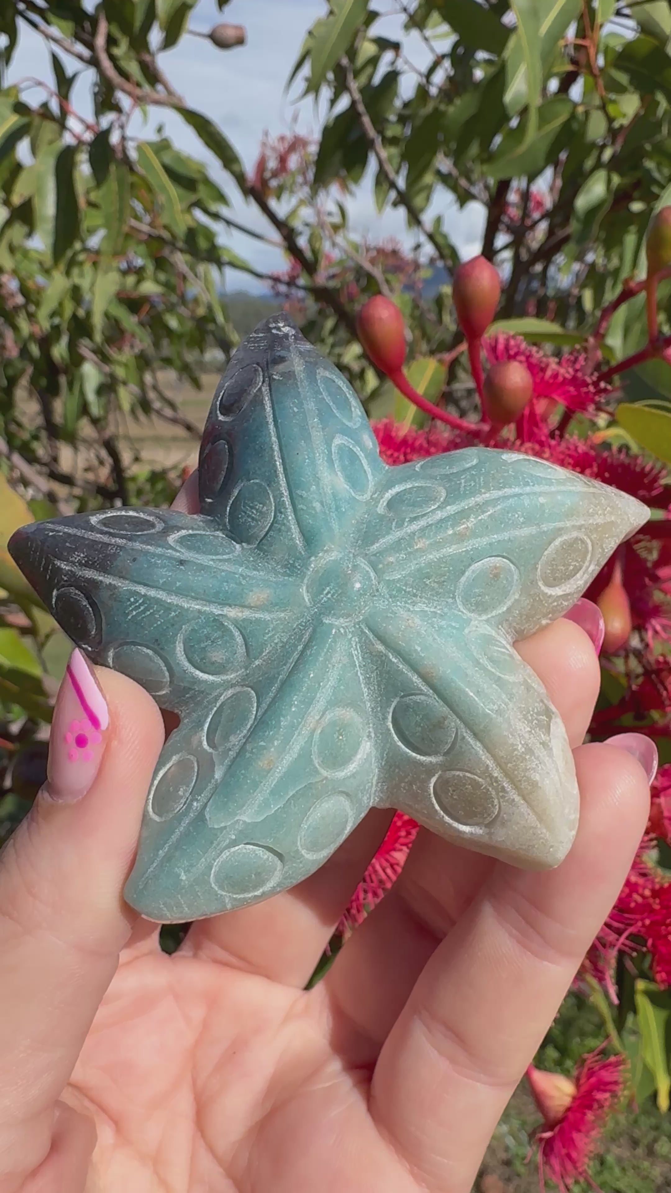 Trollite Starfish Carving