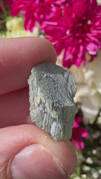 Devitrified Moldavite (Snowflake Moldavite) Specimen