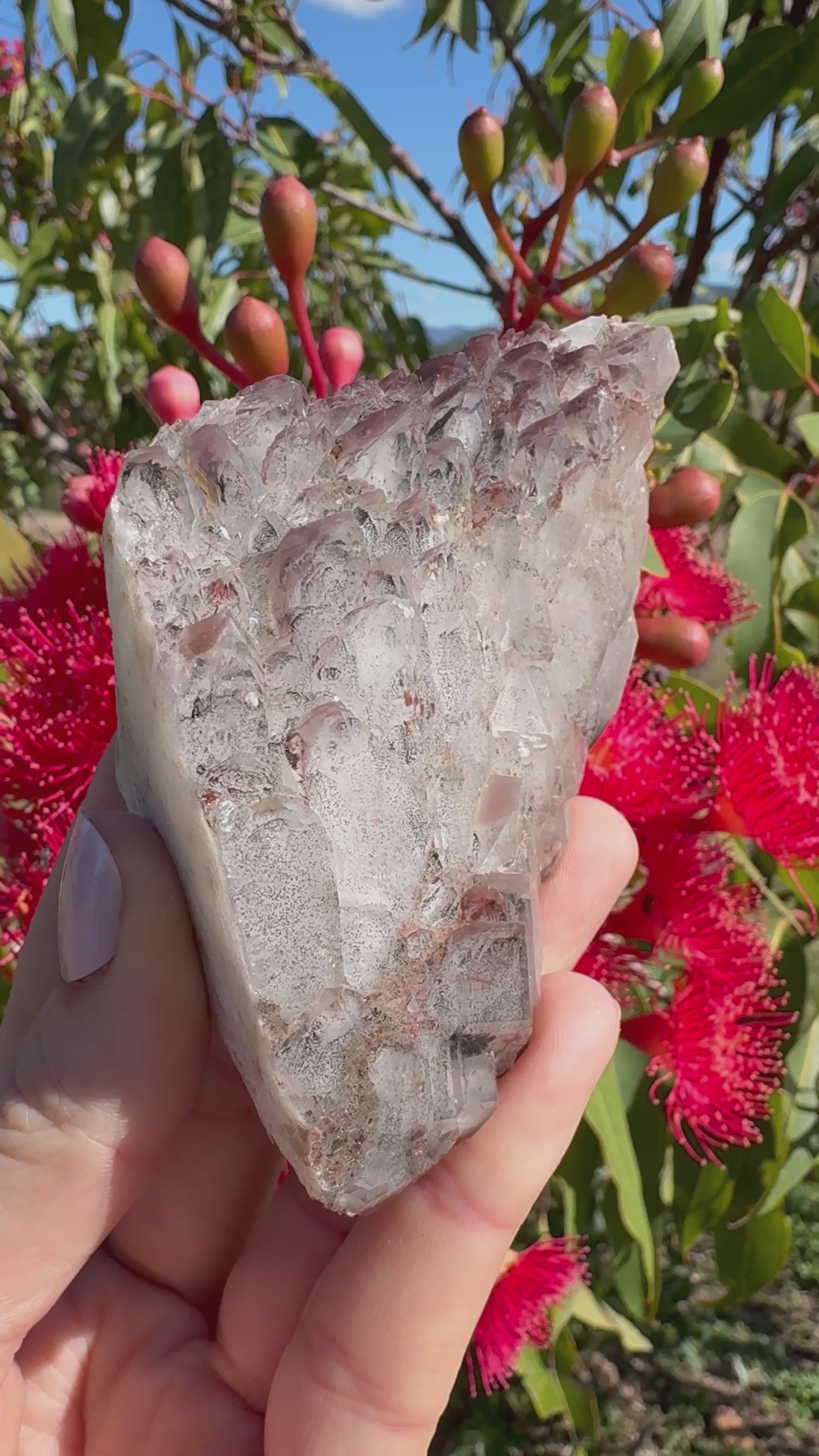 Hematite Coated Smoky Quartz Cluster - Mt Isa
