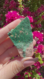 Atacamite Specimen | South Australia