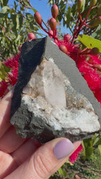 Amethyst Point in Basalt Matrix - Brandberg