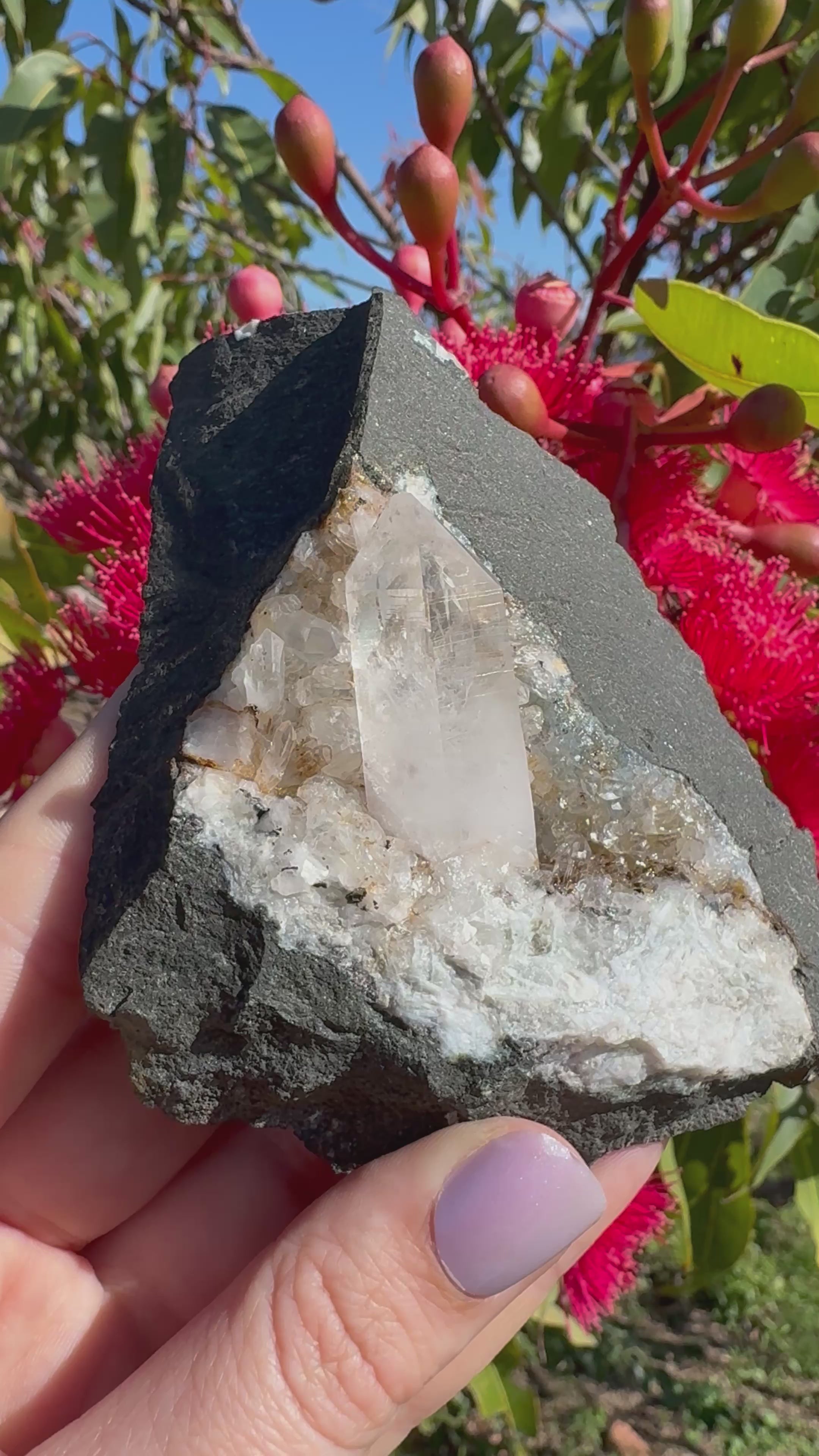 Amethyst Point in Basalt Matrix - Brandberg