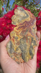 Crazy Lace Agate Polished Slice - Hamersley Ranges
