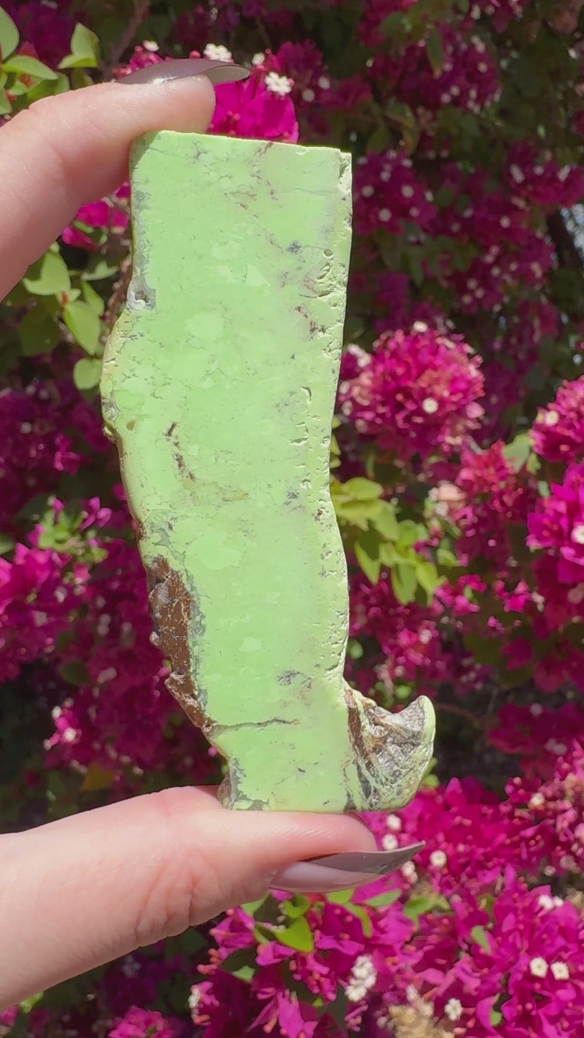 Lemon Chrysoprase Slice | Yerilla