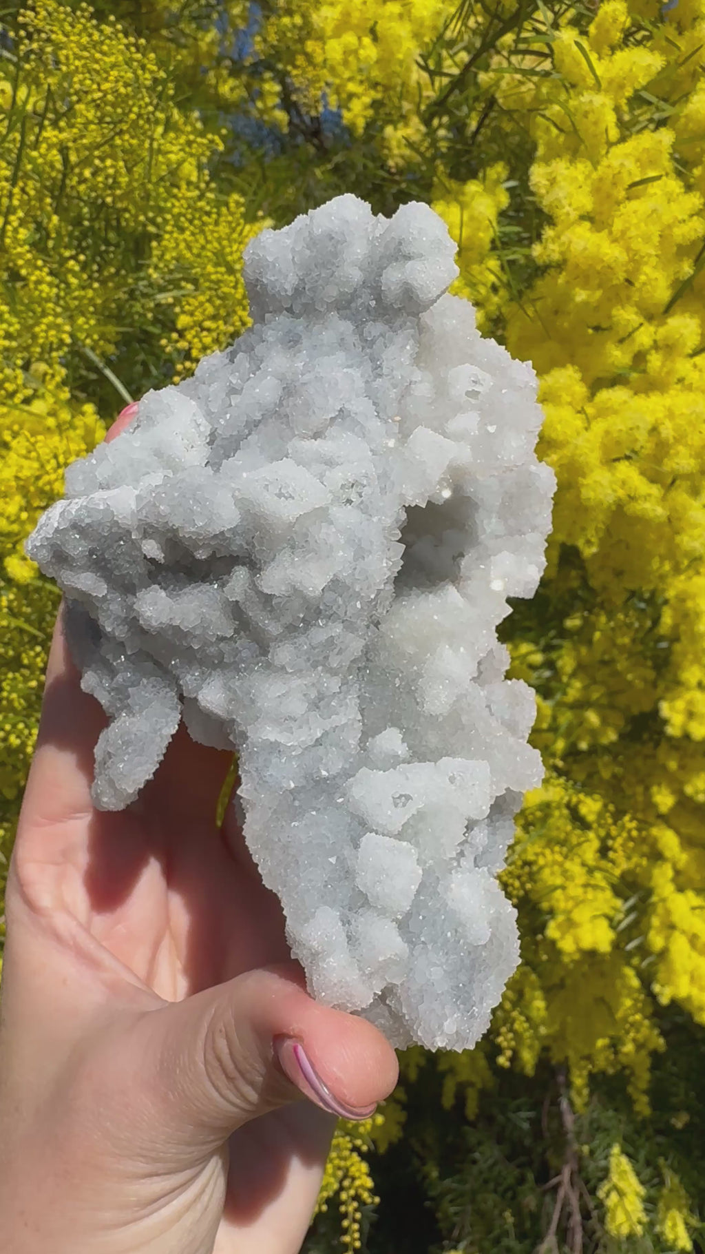 Cubic Sugar Coated Fluorite ‘Dragon’ Specimen