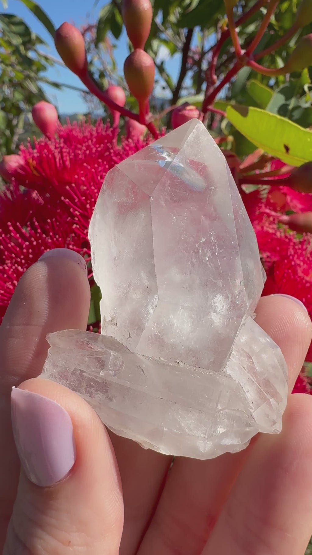 Himalayan Quartz Cluster