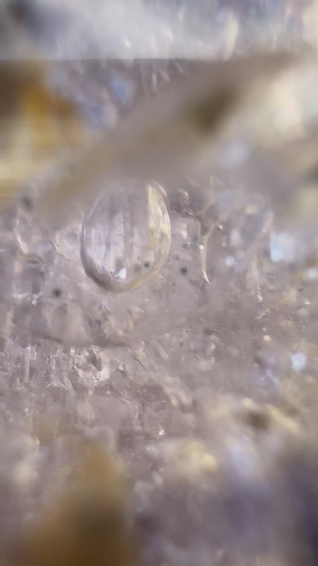Inclusion Amethyst Freeform – Moving Enhydro