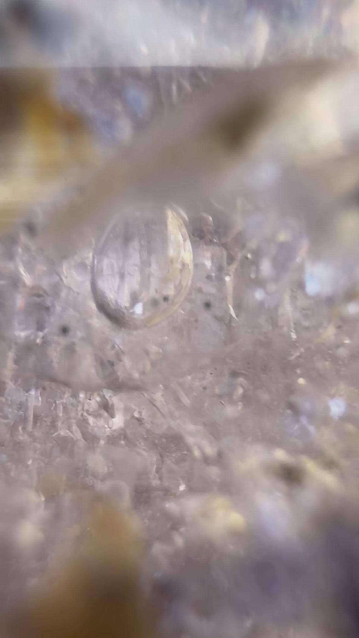 Inclusion Amethyst Freeform – Moving Enhydro