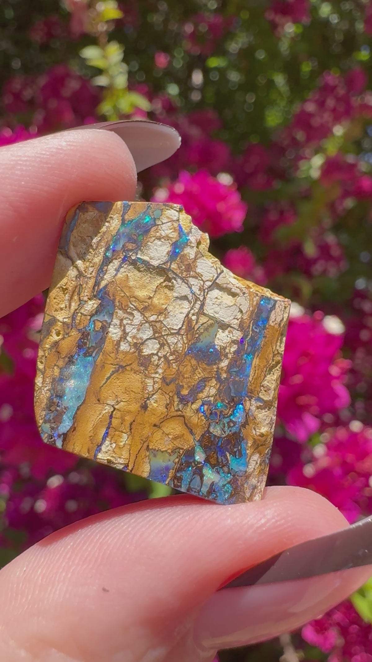 Opale boulder polie | Karoit