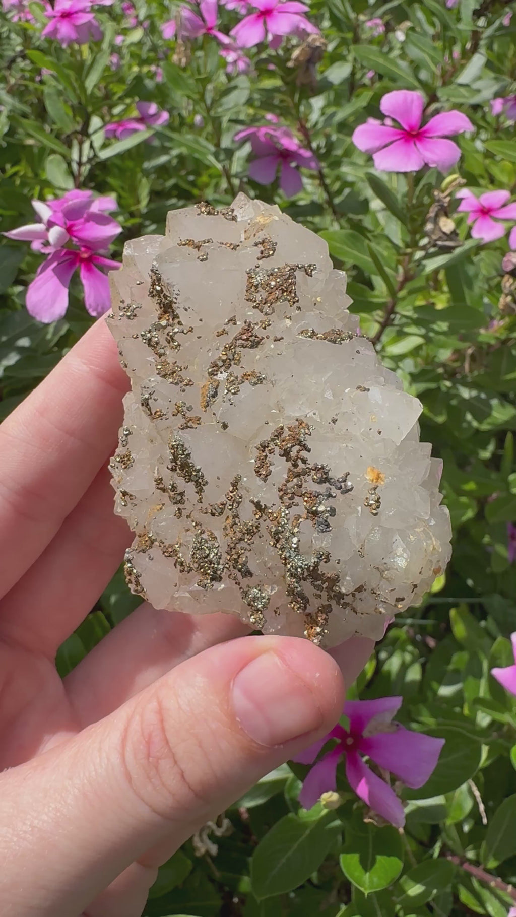 Pyrite on Quartz Specimen - High Quality