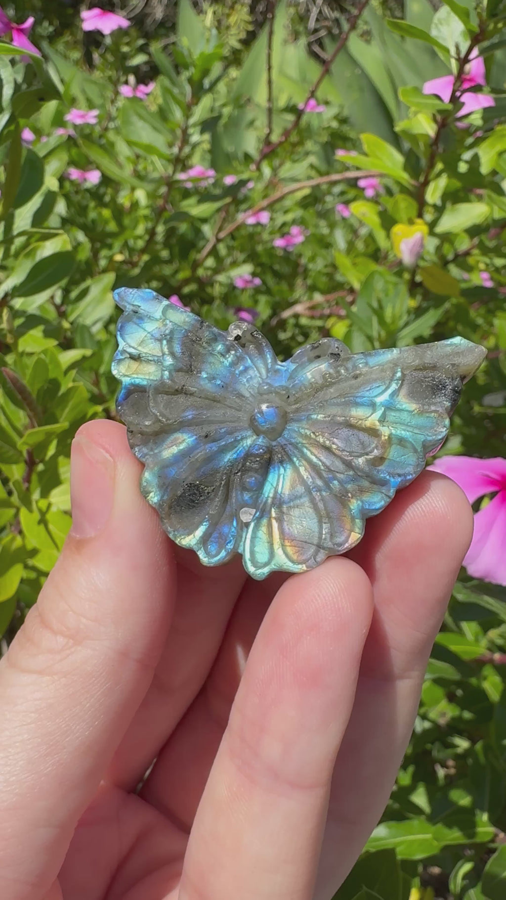 Labradorite Butterfly Carving