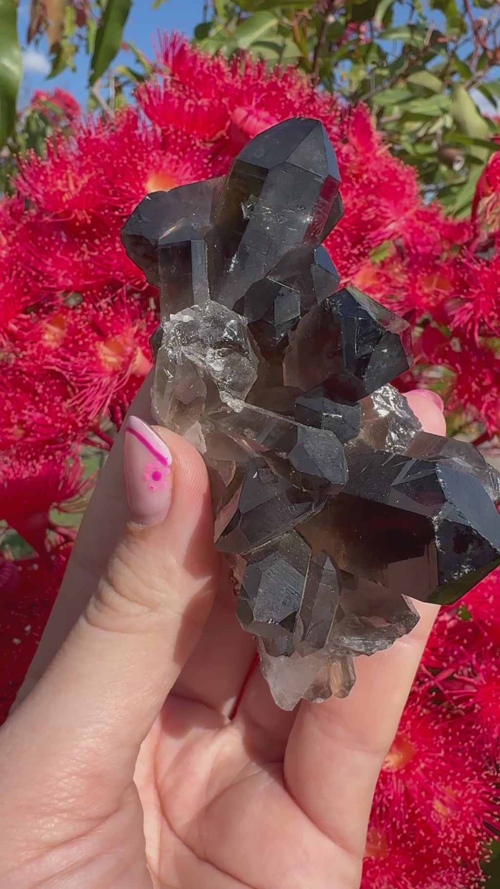 Deep Black Smoky Quartz Cluster