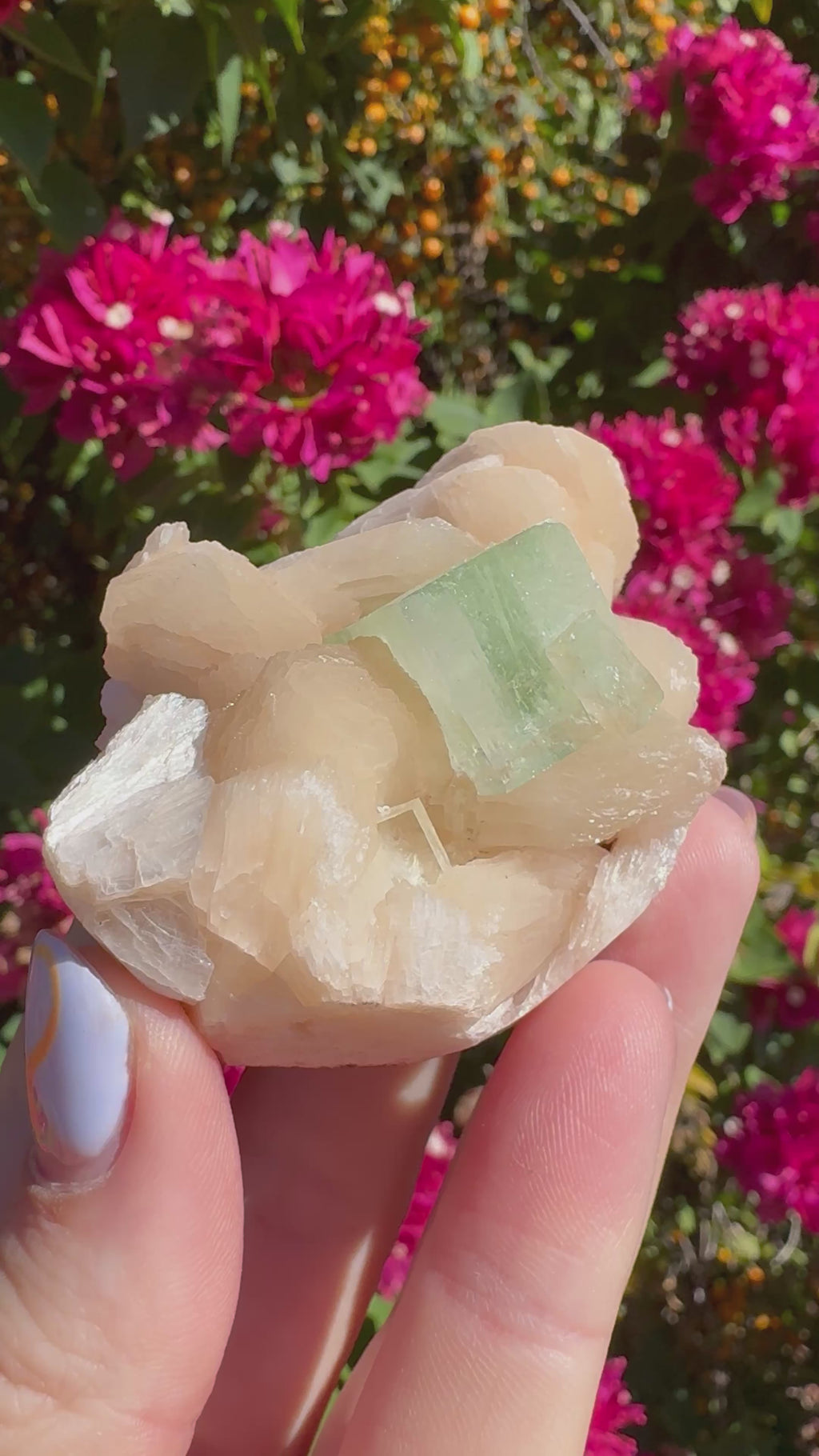 Green ‘Cube’ Apophyllite Specimen